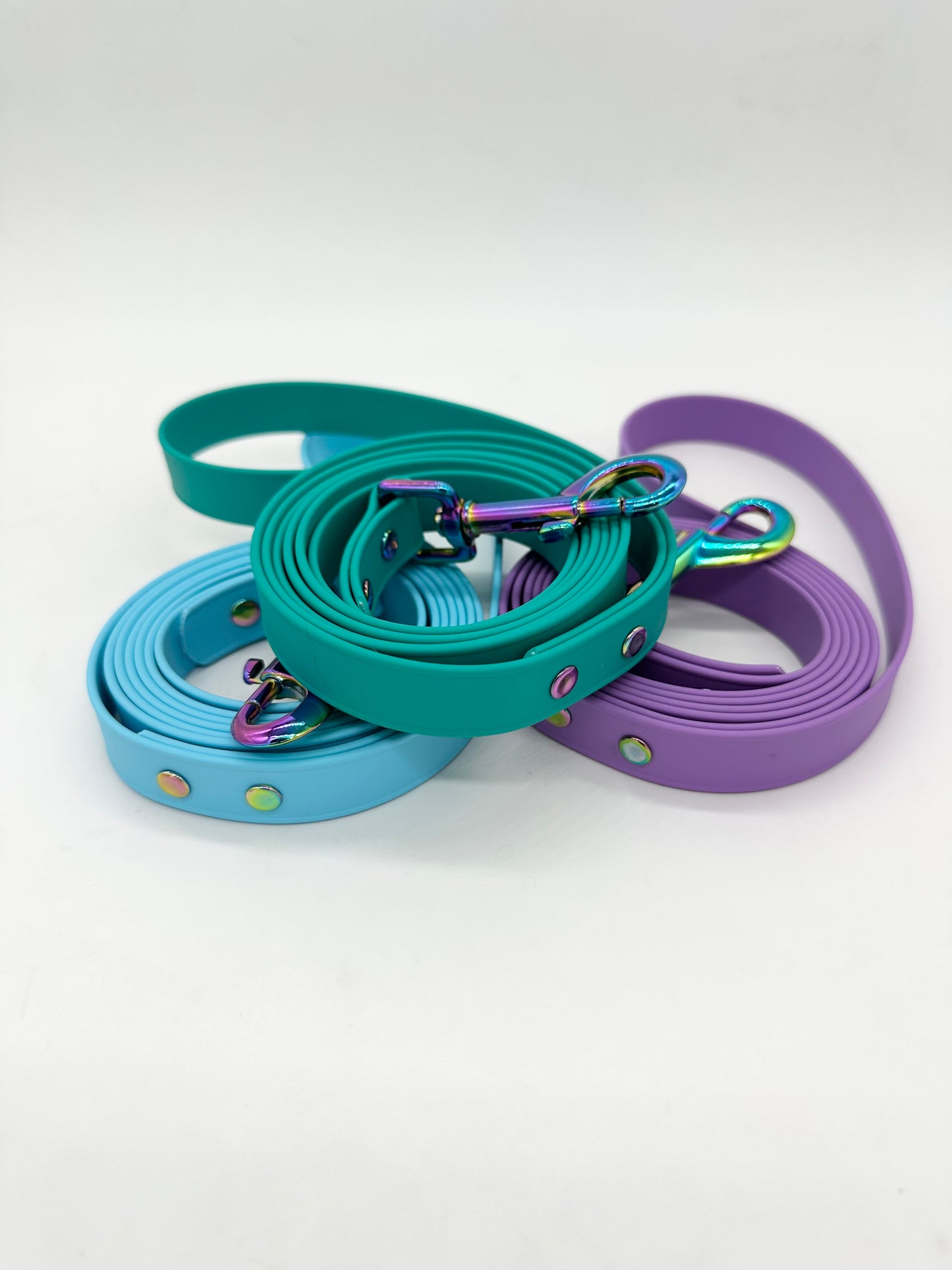 Rainbow Hardware 3/4 inch Biothane Leash