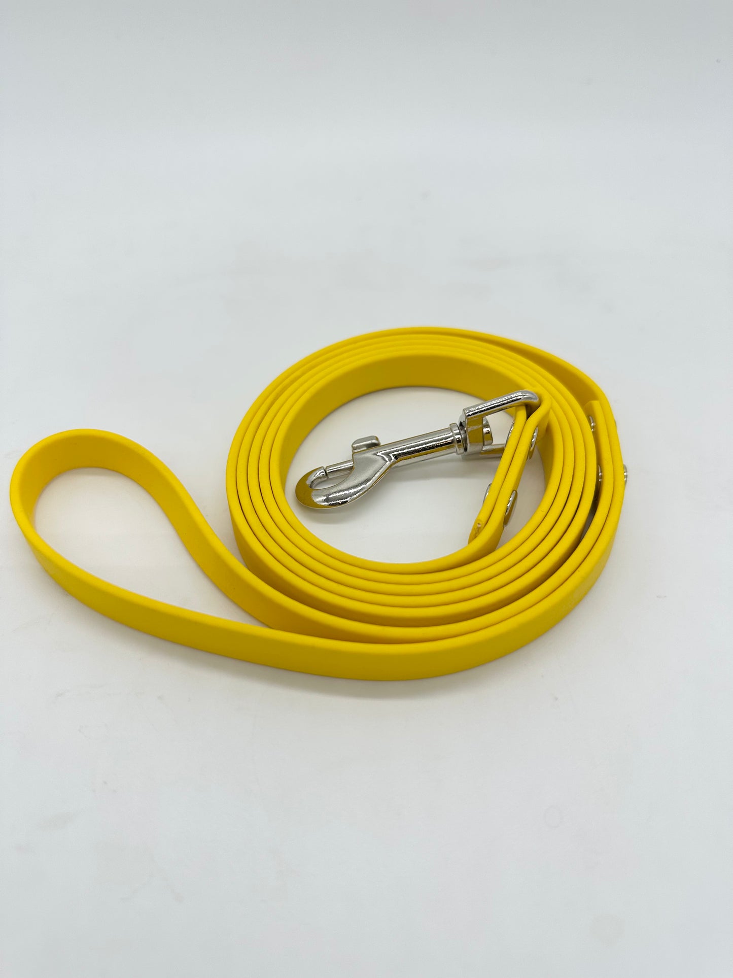 5 ft Long Leash (1/2 inch)