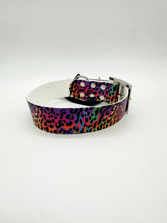 Rainbow Leopard Collar